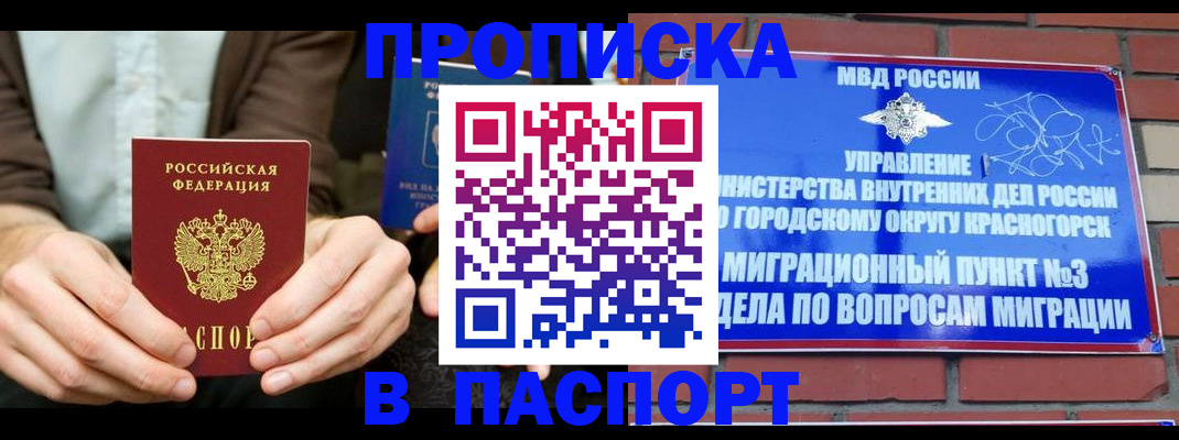 где прописаться в Камышине